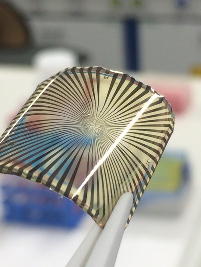 Graphen-Mikrosensoren: Vom Rand der Plastikfolie aus laufen Leiterbahnen zu den winzigen Graphenelektroden in der Mitte.