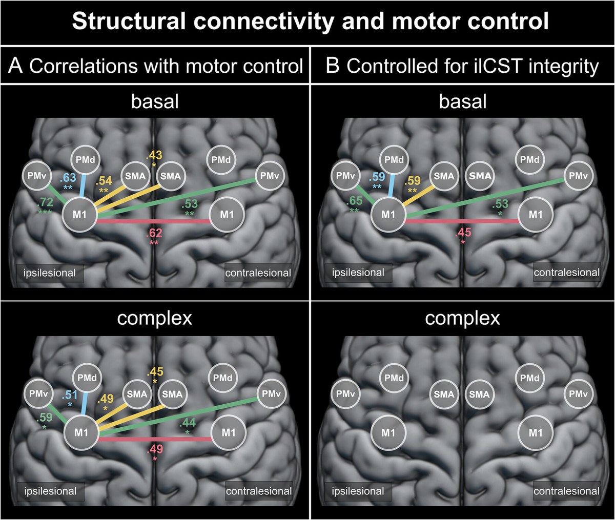 Interhemispheric structural connectivity underlies motor recovery after stroke