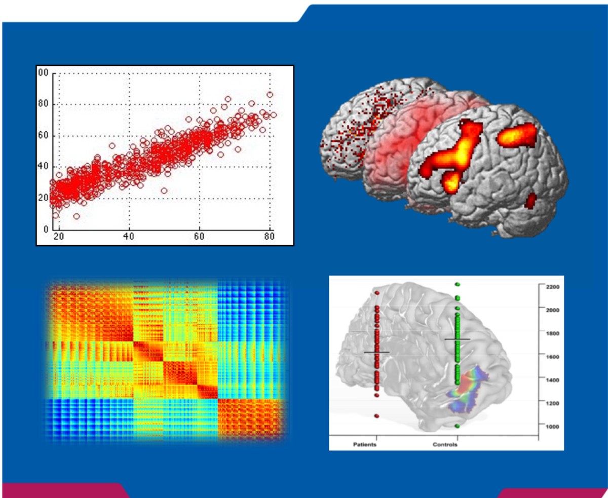 Gehirn und Verhalten (INM-7)