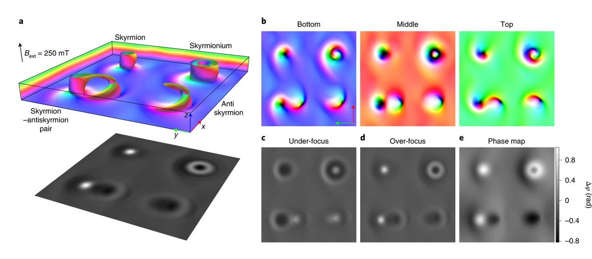 Simulations of Skyrmions and Antiskyrmionss