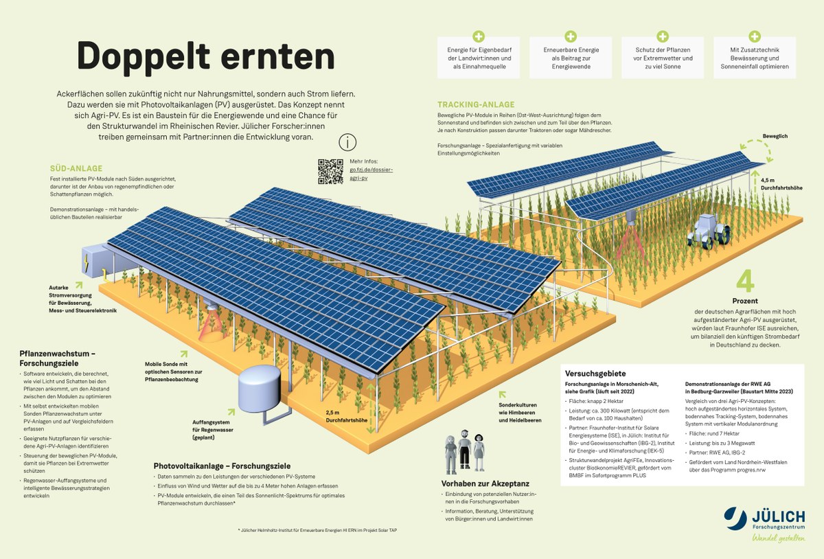 Infografik: So funktioniert Agri-PV