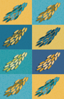 Microswimmer International Conference