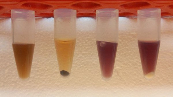 Small molecules with big impact