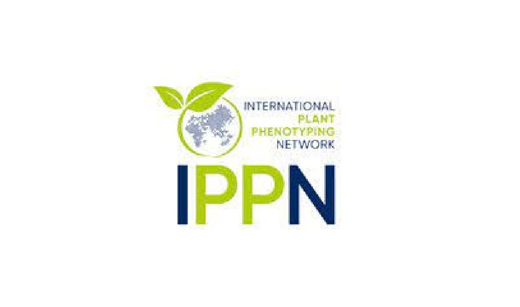 Pflanzenwissenschaften (IBG-2)