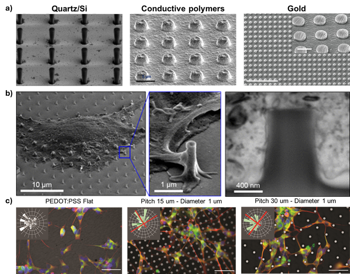 Neuroengineering (NEI)