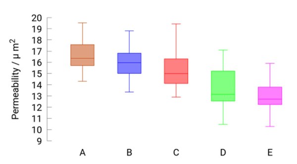 Statische Streuung von Permeabilitäten in fünf Gruppen von Simulationen, jeweils 25 Repräsentationen des Fasermodells einer GDL.