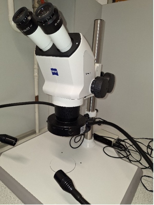 Einrichtungen zur Analytik