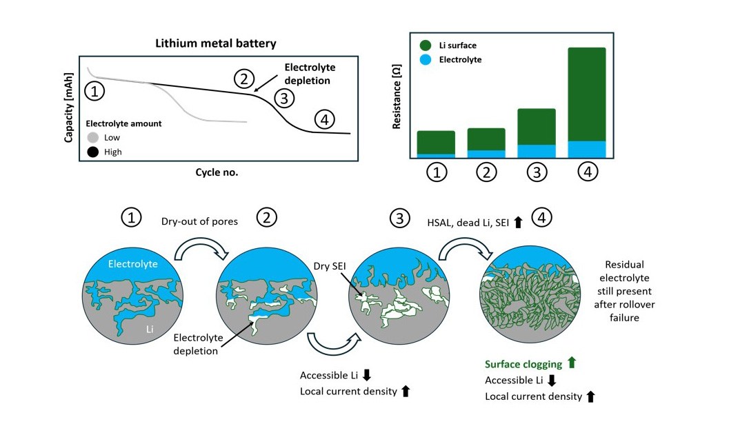 Ursache für Kapazitätsverlust in Lithium-Metall-Batterien identifiziert