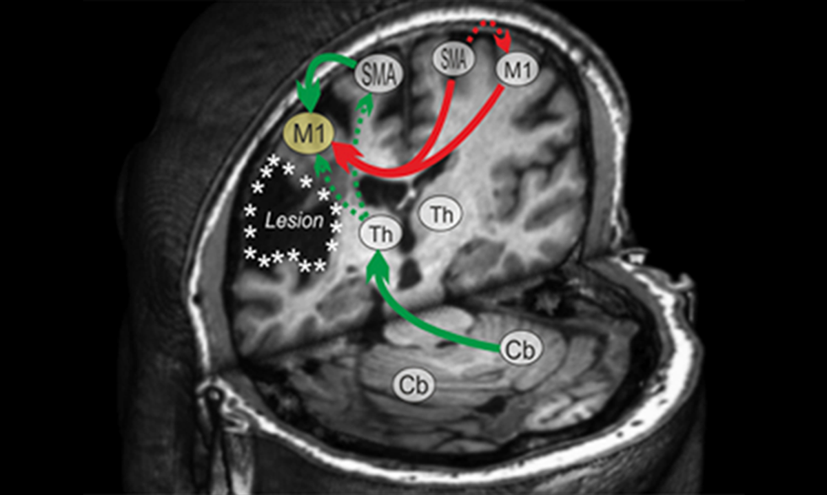Unsere Forschungsschwerpunkte