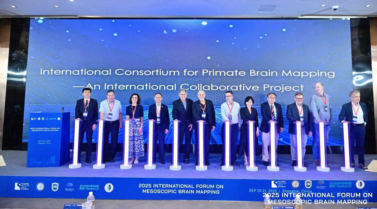 Weitere Auszeichnung für Nicola Palomero-Gallagher