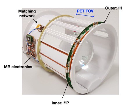 Design and Construction of a PET-Compatible Double-Tuned 1H/31P MR Head Coil