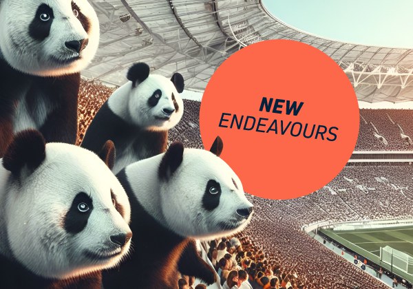 Pandas im Stadion
