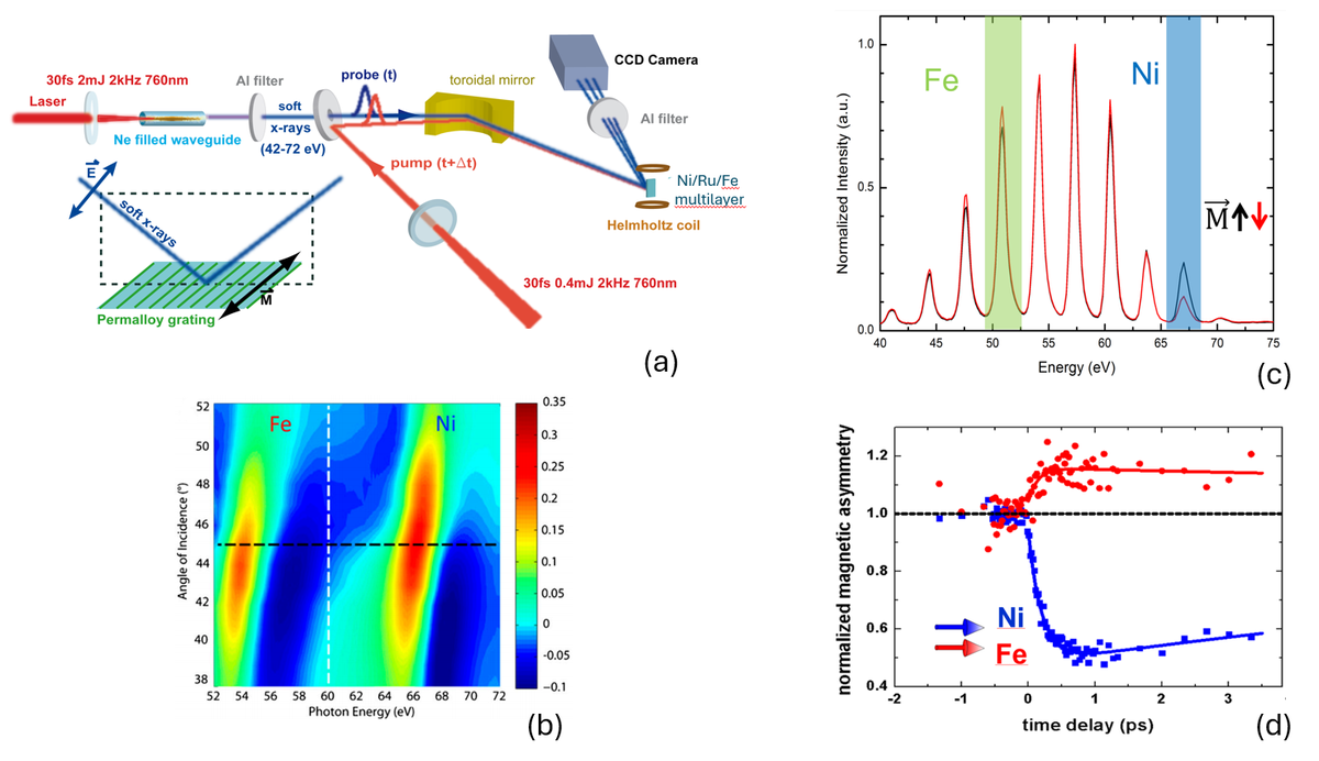 Abbildung (a) Versuchsaufbau. Die Laserpumpe (roter Strahl) und die lasergenerierte XUV-Sonde (blauer Strahl) werden von einem einzigen Laserverstärker abgeleitet, um Zeitschwankungen zu minimieren. Das XUV-Licht breitet sich im Vakuum (10−5 mbar) aus und enthält ein Spektrum von Photonen mit Energien zwischen 30 eV und 72 eV. Das Magnetfeld richtet die Probenmagnetisierung M entlang der Richtung quer zur Reflexionsebene aus. In zeitaufgelösten Experimenten regt ein ultrakurzer Laserpuls (rot) den dünnen Film an, bevor er von einem XUV-Puls (blau) elementspezifisch abgetastet wird. Die reflektierte XUV-Strahlung wird am Gitter gebeugt und von der Röntgen-CCD-Kamera erfasst. (b) Winkel- und energieaufgelöste resonante Reflektivität Ni und Fe. Die XUV-Reflektivitäten wurden an einem Synchrotron (BESSY) gemessen. (c) Das gemessene Spektrum des reflektierten XUV-Lichts für zwei entgegengesetzte Richtungen des externen Magnetfelds. Der magnetooptische Effekt in der T-MOKE-Geometrie erreicht bis zu 45 % an den Resonanzrändern von Fe und Ni und ist proportional zur Magnetisierung M der Probe. (d) Die Verfolgung der Entwicklung der XUV-Spektren gegenüber der Pump-Probe-Verzögerung liefert elementselektive Informationen über die Spindynamik in Fe- und Ni-Schichten des Ni/Ru/Fe-Dünnschichtstapels.