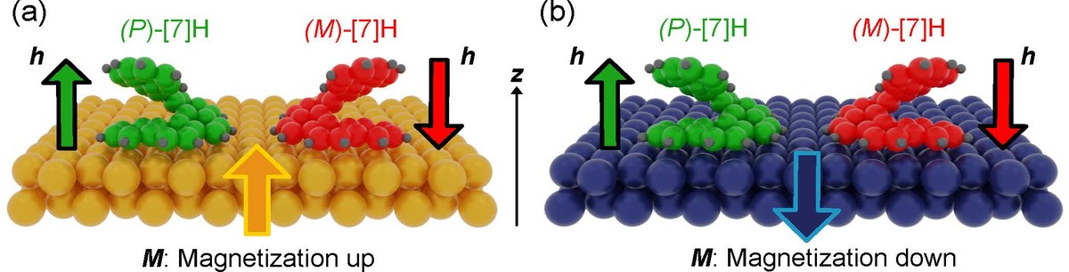 Enantioselective Adsorption on Magnetic Surfaces