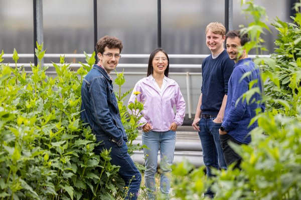 Samuel, Xinyu, Markus and Johannes smile in the camera. They are standing between plants.