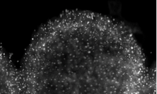 Nanomaterials for Green Energy