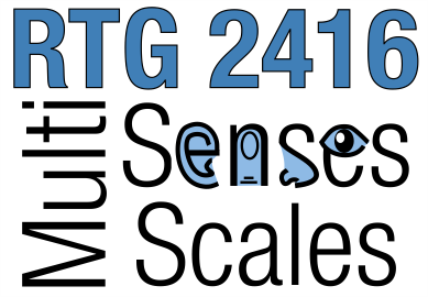 RTG MultiSenses - MultiScale