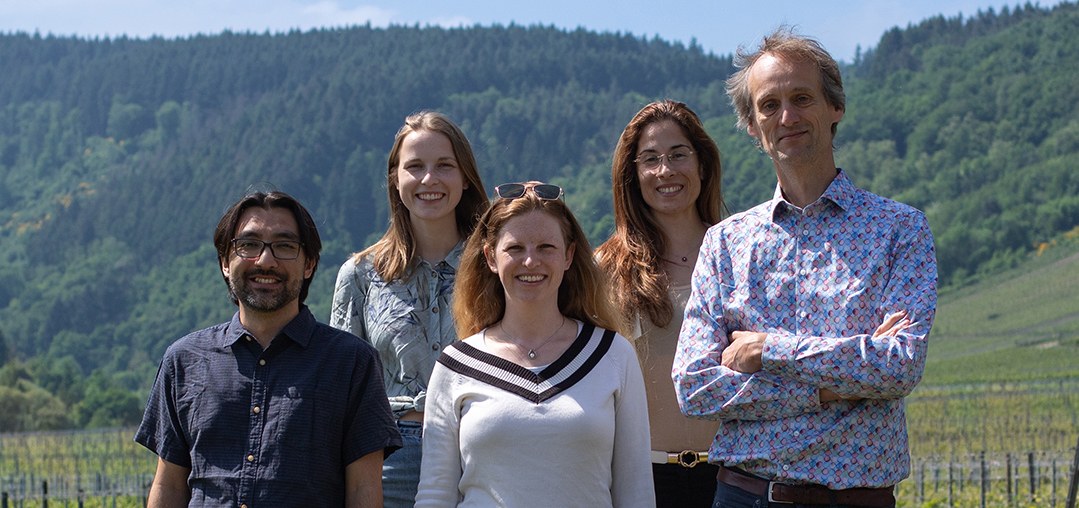 Theoretical Neuroanatomy