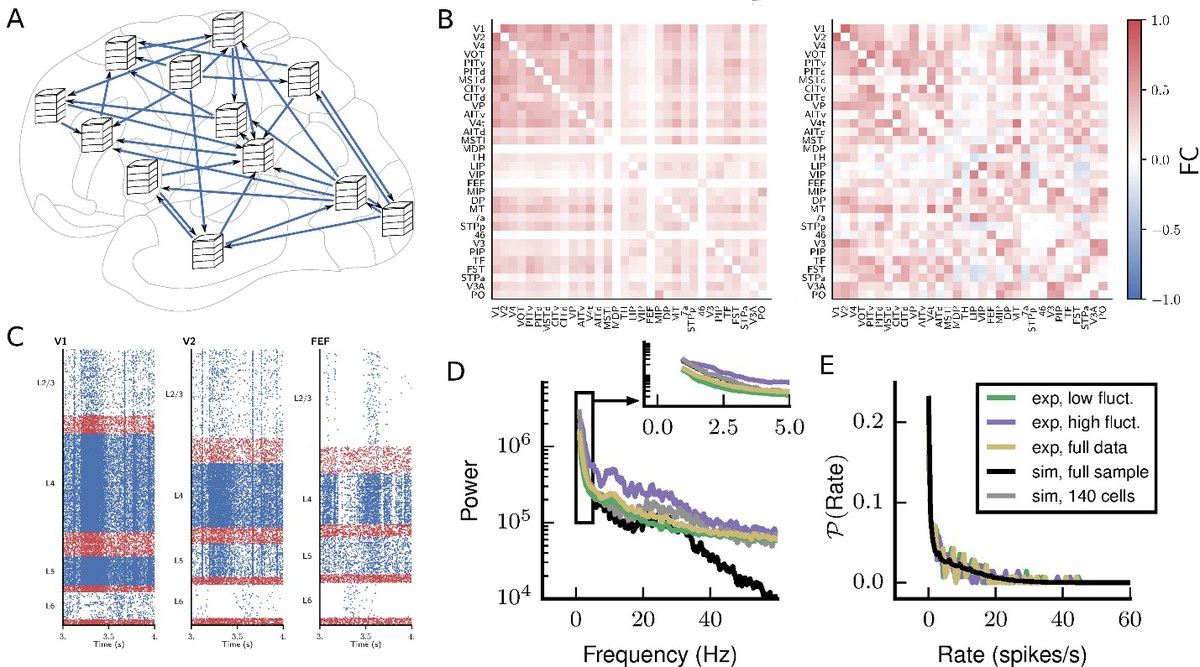 Spiking Neural Network Simulations