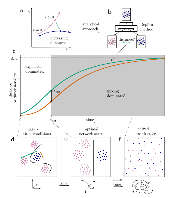 Mechanisms on Neural Information Processing