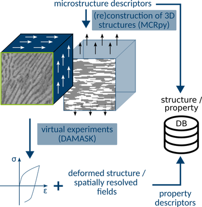 Projects and Collaborations