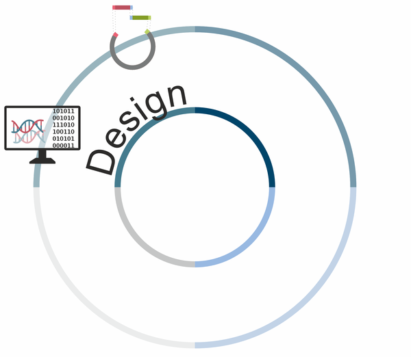 Designing industrial relevant biocatalysts