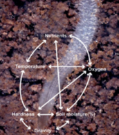 Mission and Focus Areas