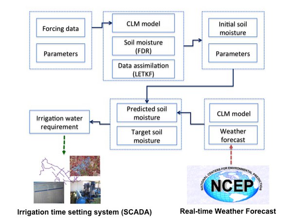 Real-time optimization of irrigation of citrus fields near Valencia (Spain)