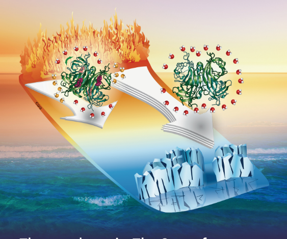 Thermophoresis of biological compounds in aqueous media