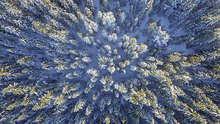 Die Prozesse, die die Selbstreinigung der Atmosphäre steuern, variieren