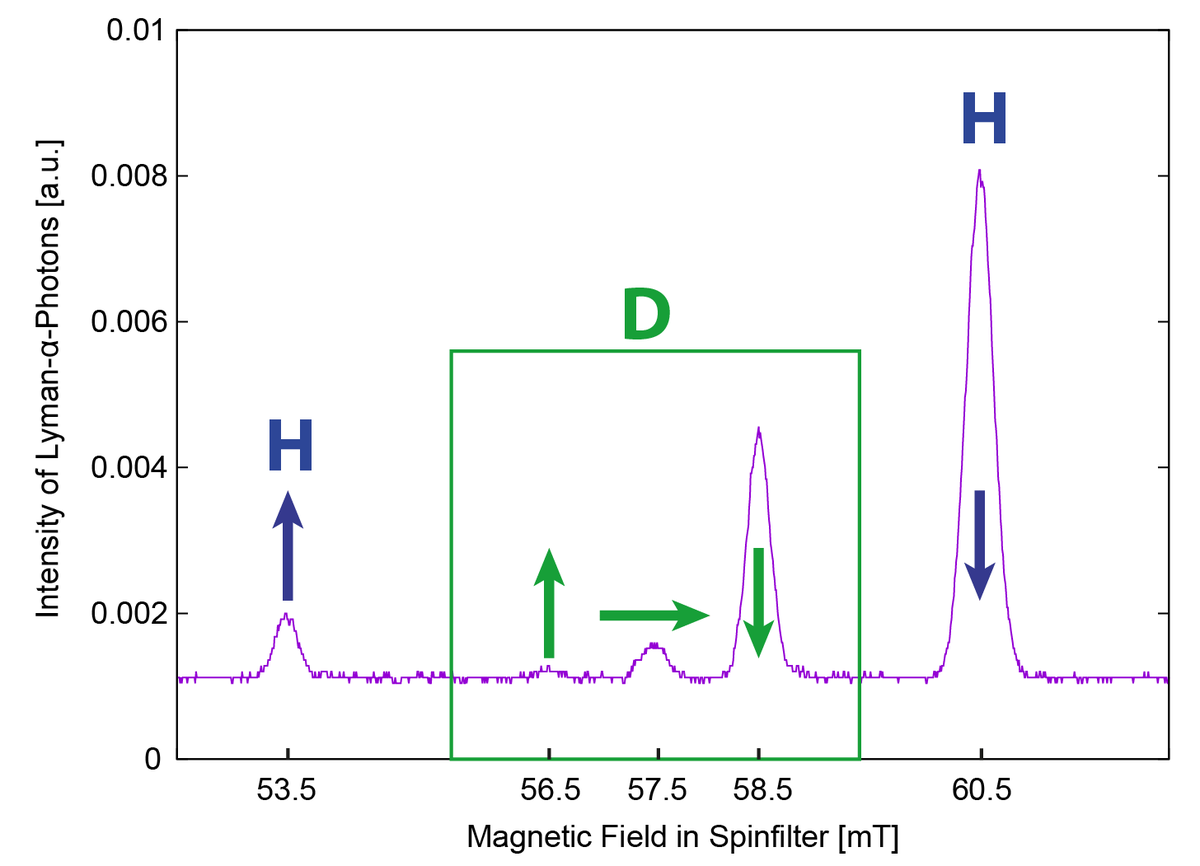 Lamb-shift Polarimeter (LSP)