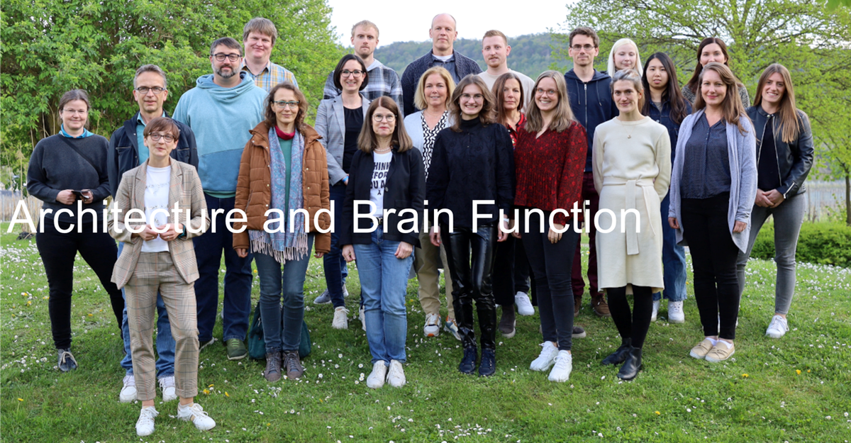 Architecture and Brain Function