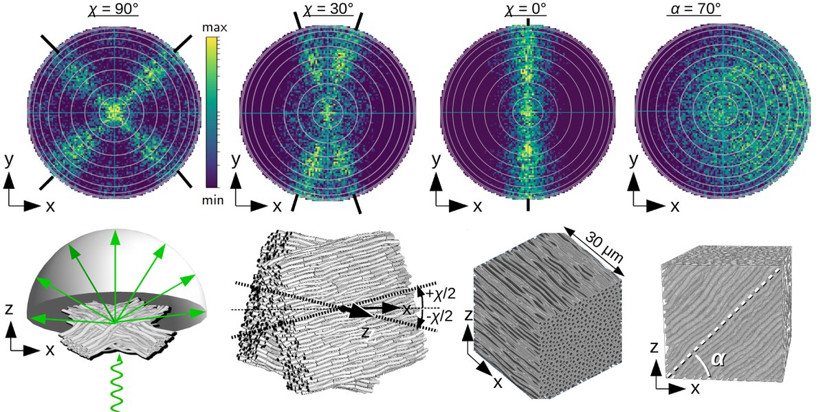Scattering-Based Imaging