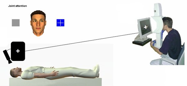 Social cognitive studies