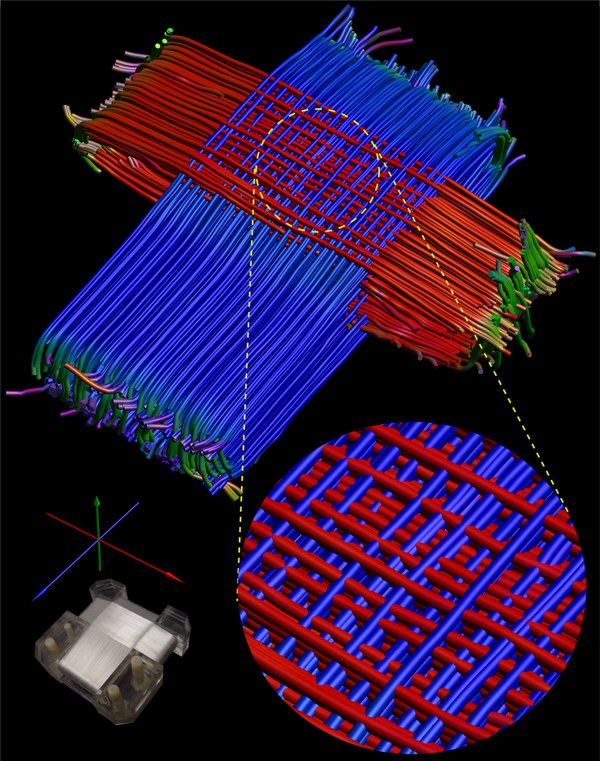 Artificial Phantoms for Studies of Anisotropic Diffusion in the Brain