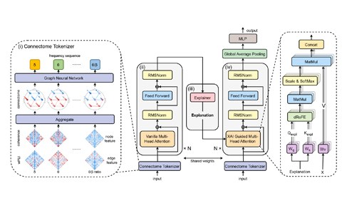 INM-4’s NIDS Group Presents Breakthrough in EEG Analysis at ICLR 2025
