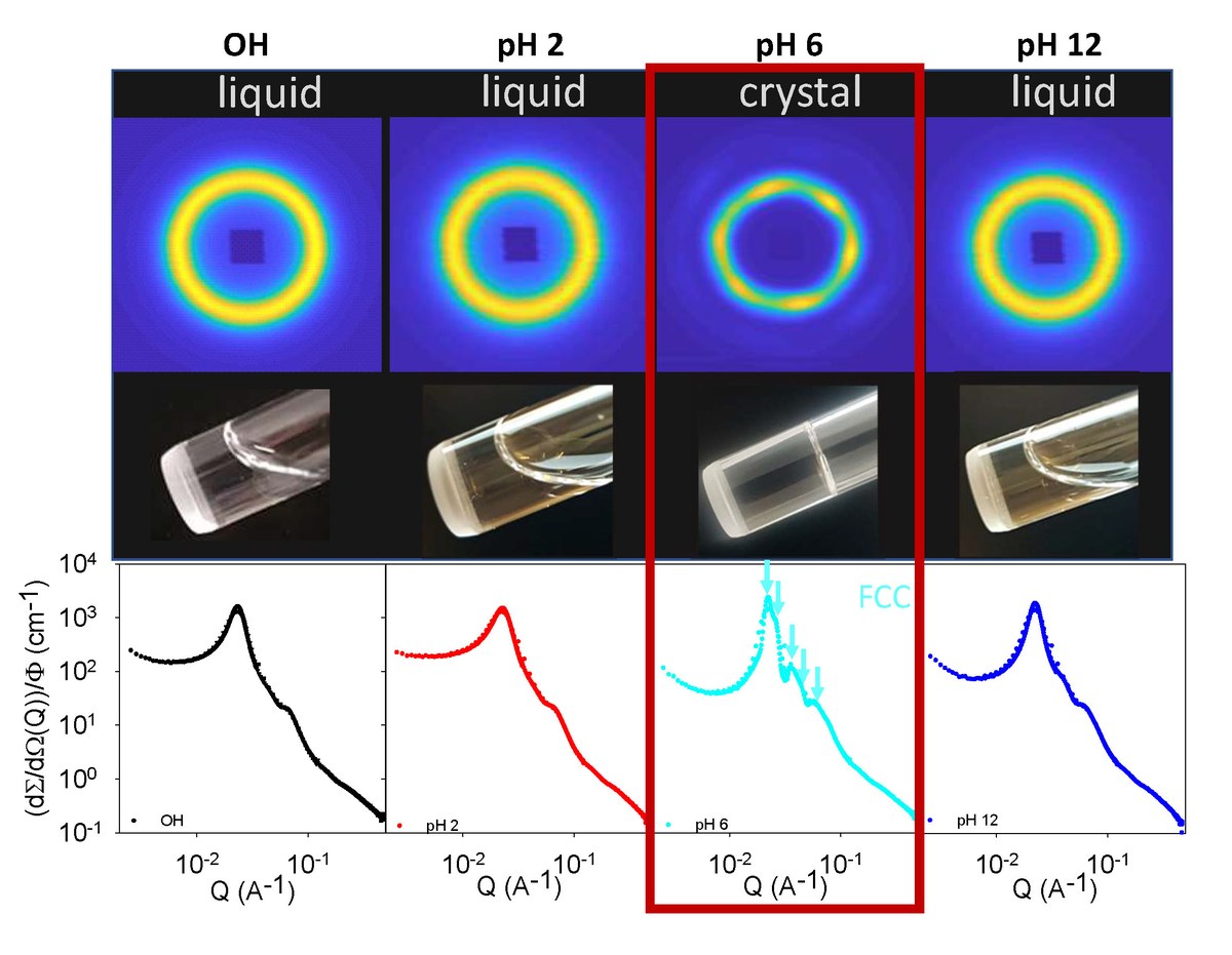 Interactions, Phase Behaviour and Dynamics