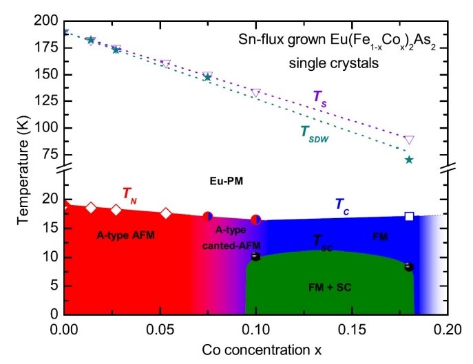 The  phase diagram of Sn-flux-grown Eu(Fe1−xCox )2As2 single crystals,  illustrating the evolution of the magnetic ground state of the Eu2+  spins with Co doping. TC(x) is assumed to vary linearly as TN(x) does.