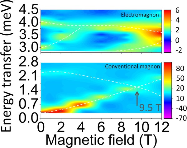 Current Scientific Topics from Users at HEiDi and POLI