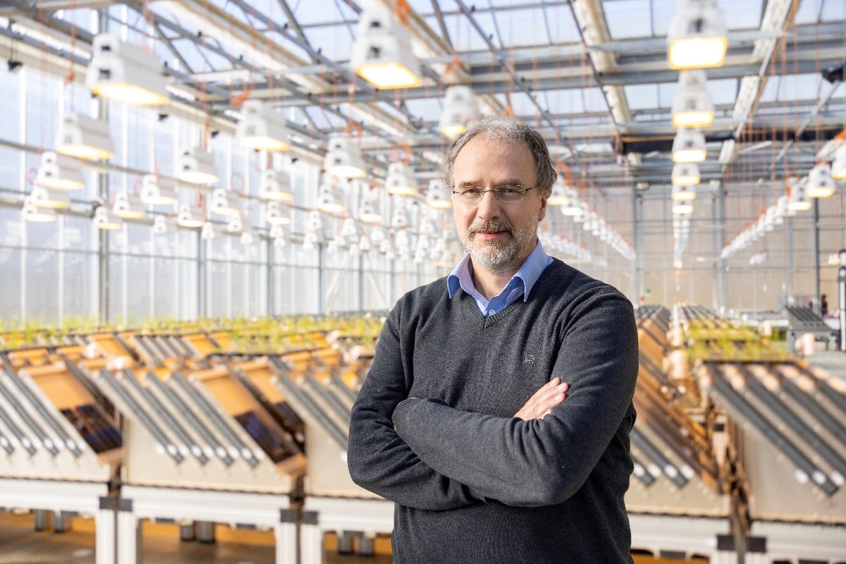 Prof. Dr. Ulrich Schurr