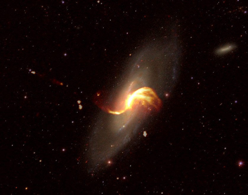Die nahegelegene Spiralgalaxie M106 in einem optischen Bild, mit LOFAR-Radioemission überlagert.