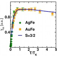 Kondo Impurity Physics