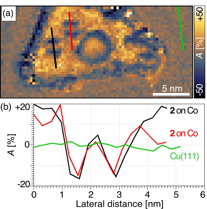 Cyclophane with eclipsed pyrene units enables construction of spin interfaces with chemical Accuracy