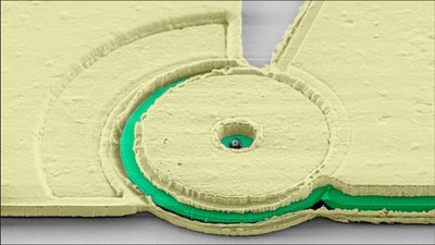 Projects and Collaborations