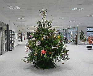 christmas tree in reading room